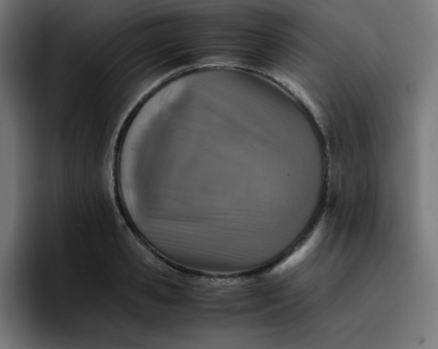 X0000096730941200802191545