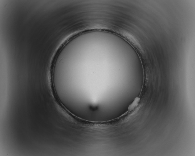 X0000096730942200802191545