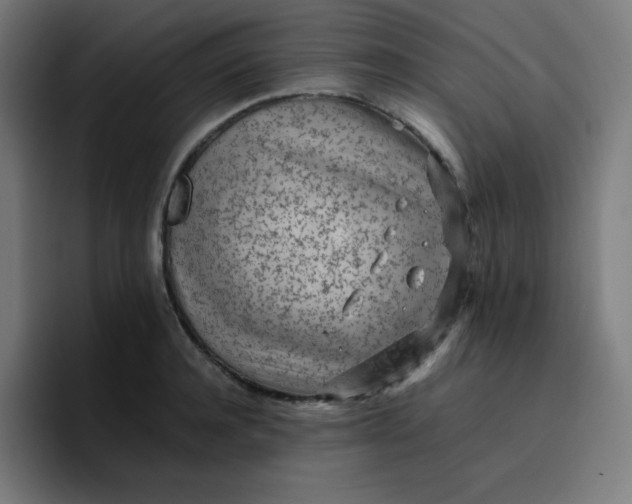 X0000096730944200802191545