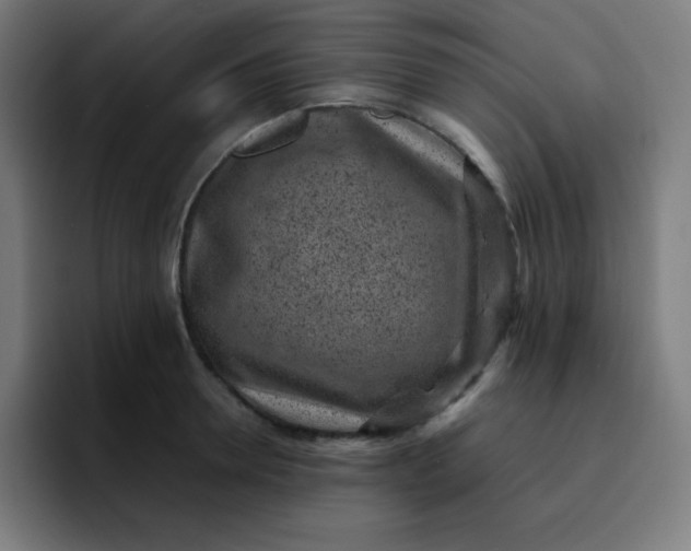 X0000096730946200802191545