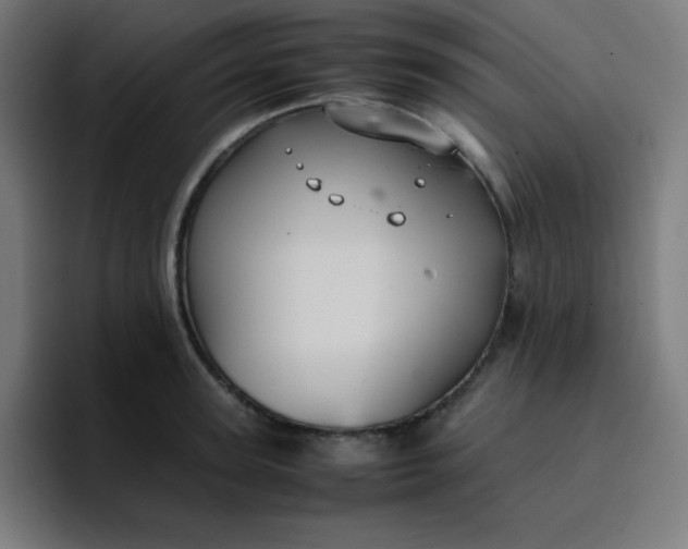 X0000096730947200802191545