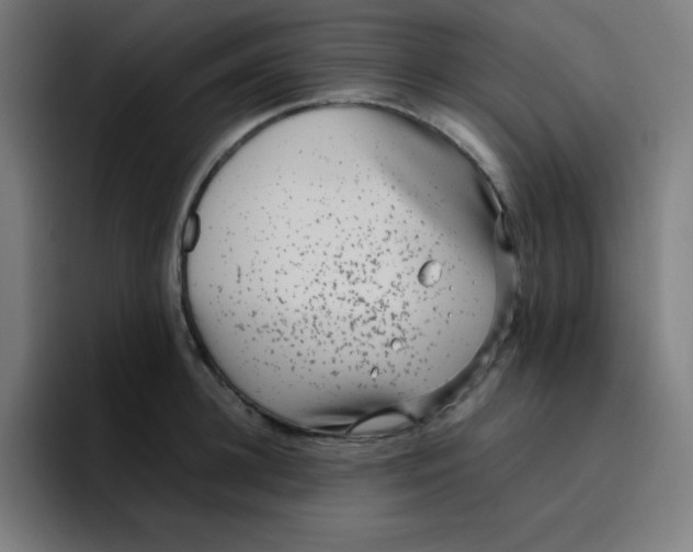 X0000096730948200802191545