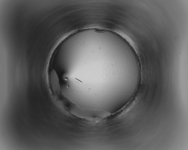 X0000096730949200802191546