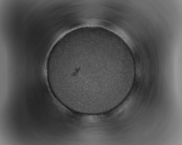 X0000096730950200802191546