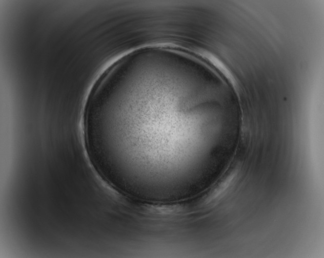 X0000096730951200802191546