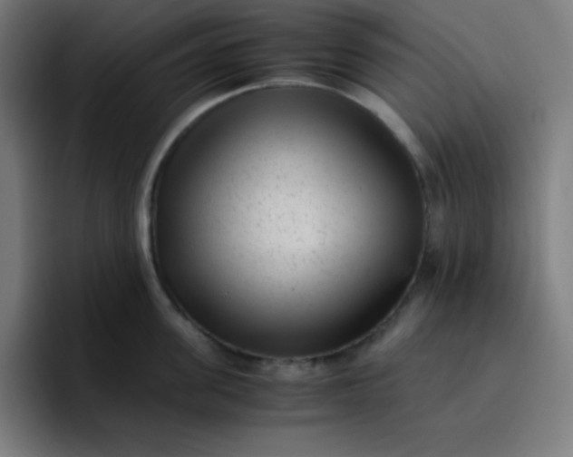 X0000096730955200802191546