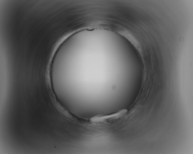 X0000096730960200802191546