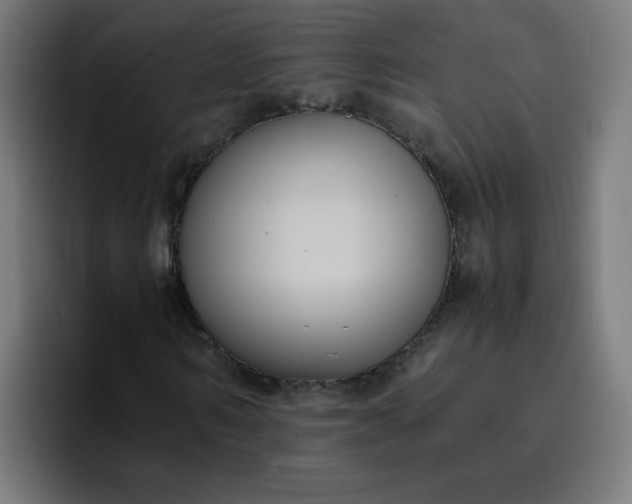 X0000096730962200802191545