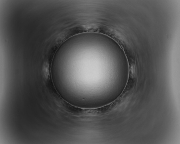 X0000096730963200802191545