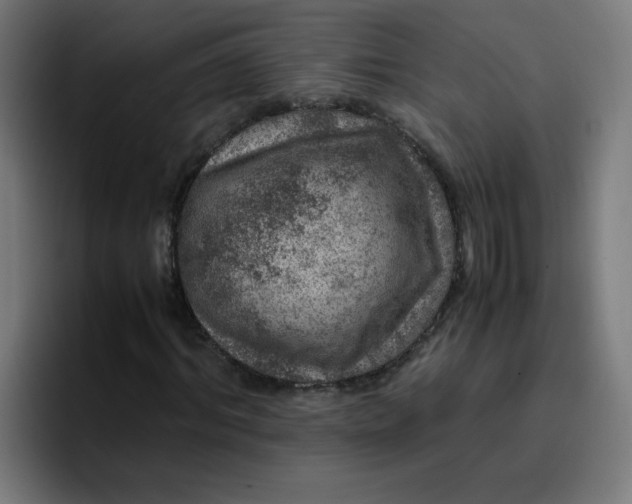 X0000096730964200802191545