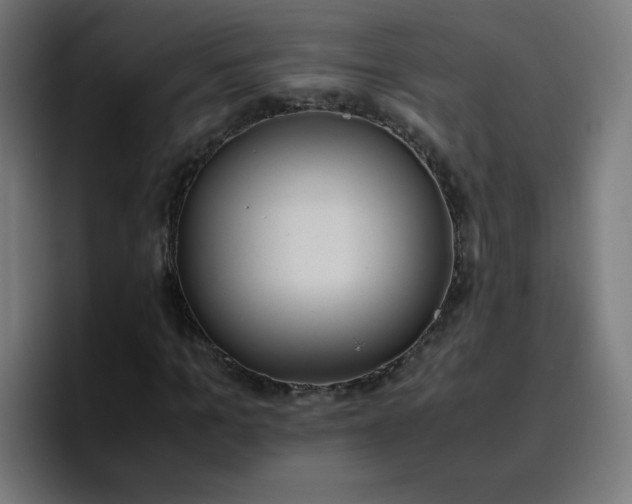 X0000096730965200802191545