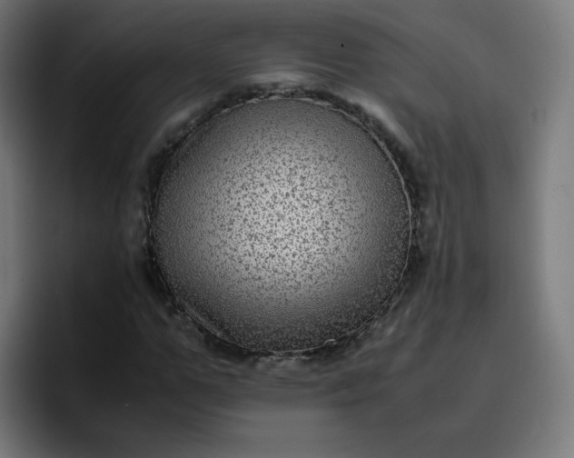 X0000096730967200802191545