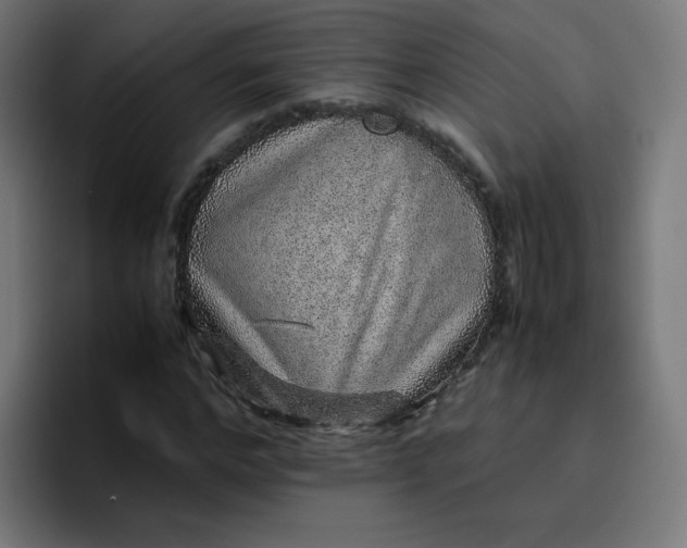 X0000096730968200802191545