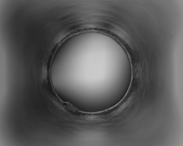 X0000096730969200802191545