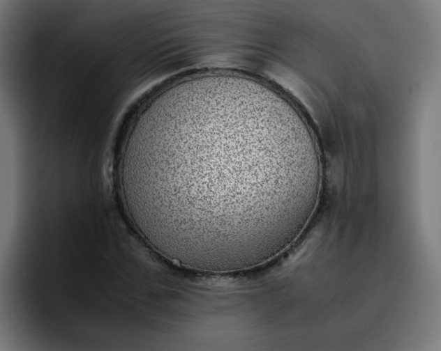 X0000096730971200802191545