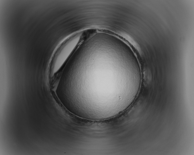 X0000096730972200802191545