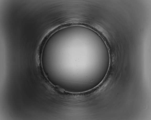 X0000096730973200802191545