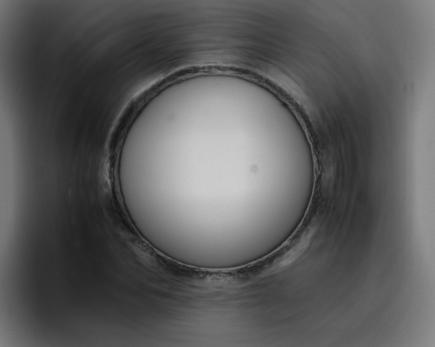 X0000096730974200802191545