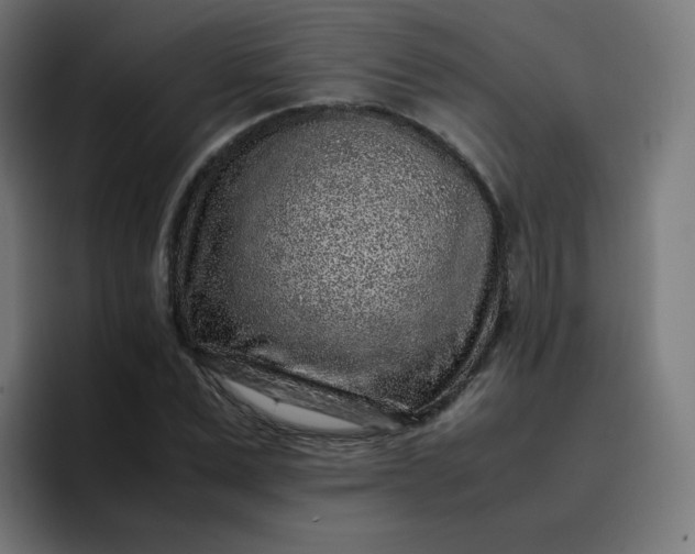 X0000096730975200802191545