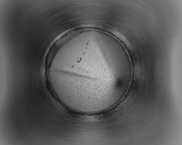 X0000096730976200802191545