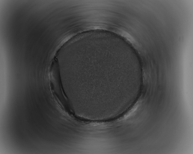 X0000096730977200802191545