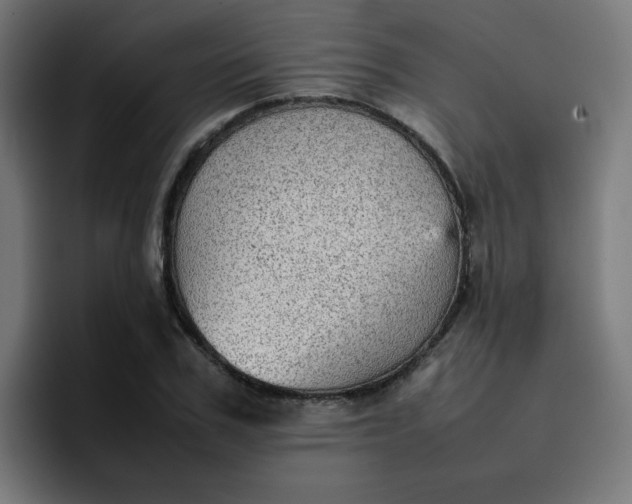 X0000096730979200802191545