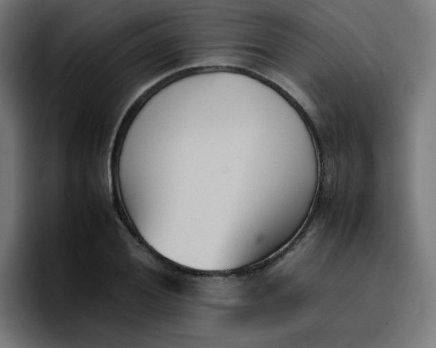 X0000096730980200802191545