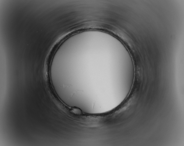 X0000096730981200802191545