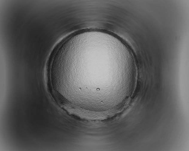 X0000096730983200802191545