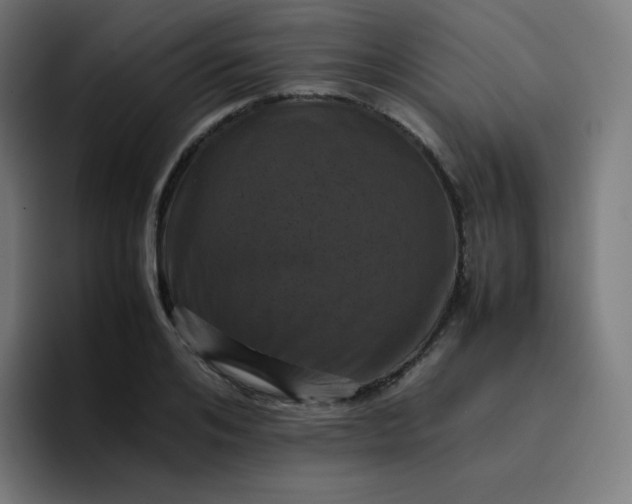 X0000096730984200802191545