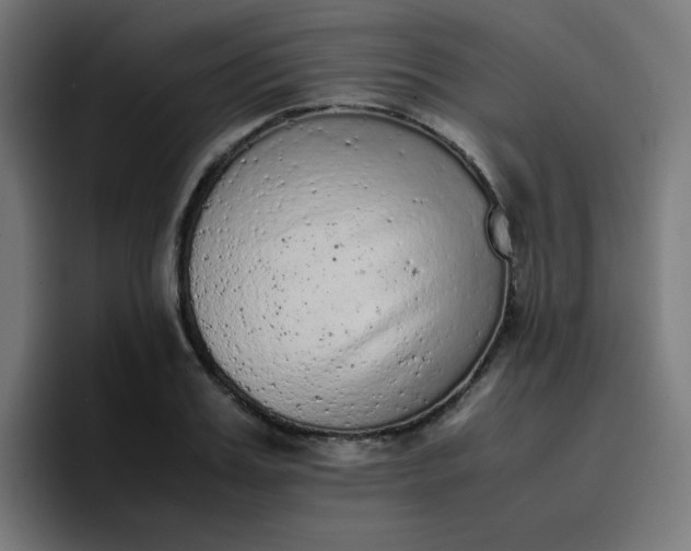 X0000096730987200802191545