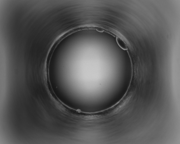 X0000096730988200802191545
