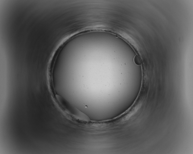 X0000096730989200802191545