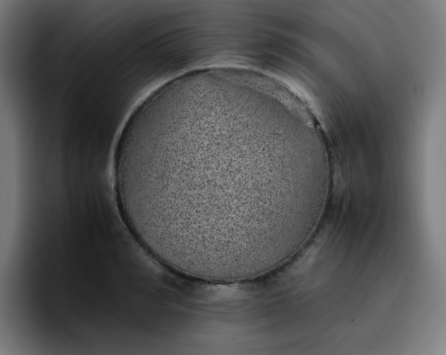 X0000096730990200802191545