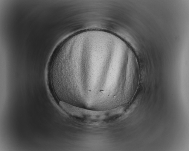 X0000096730991200802191545