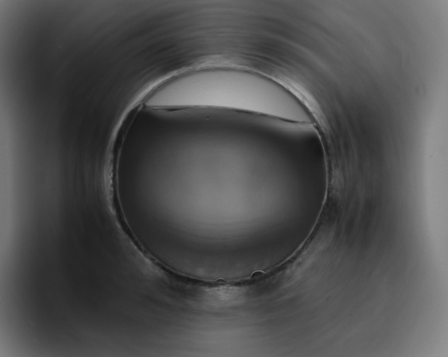 X0000096730992200802191545