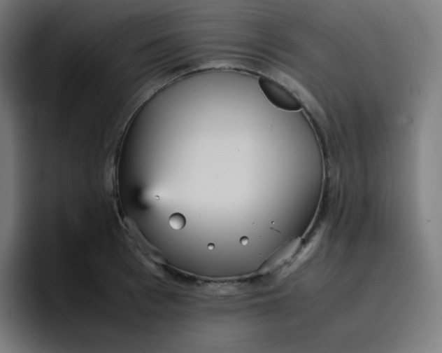 X0000096730993200802191545