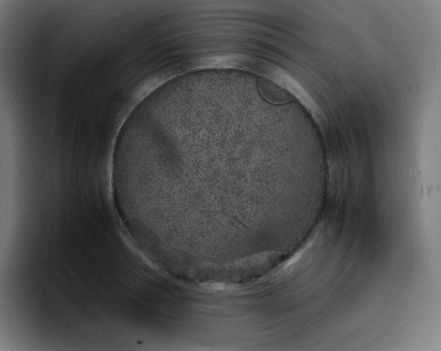 X0000096730994200802191545