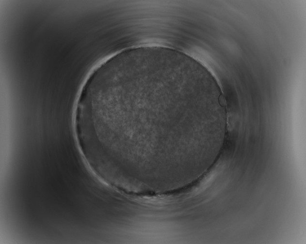 X0000096730995200802191545