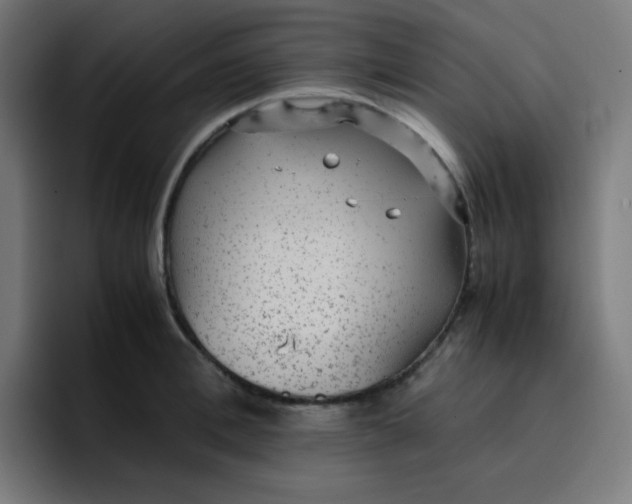 X0000096730996200802191545