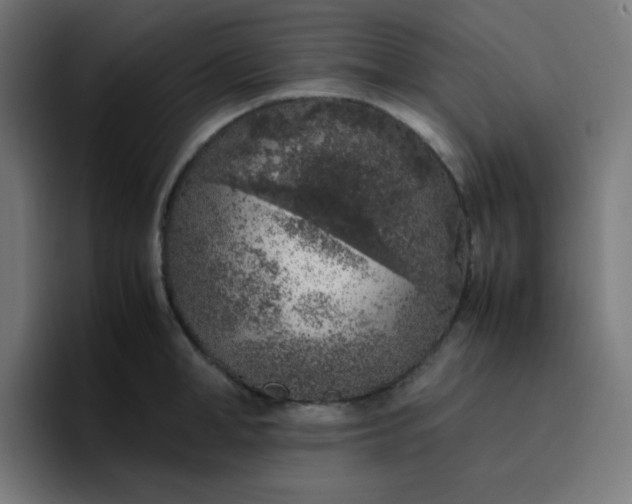 X0000096730998200802191545