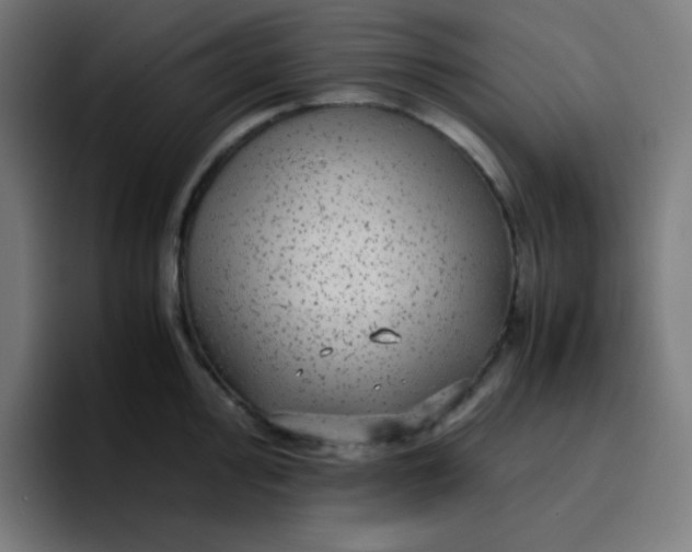 X0000096731000200802191545