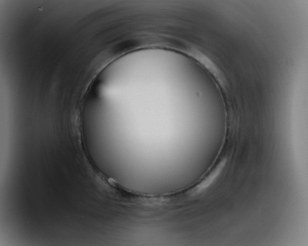 X0000096731001200802191545