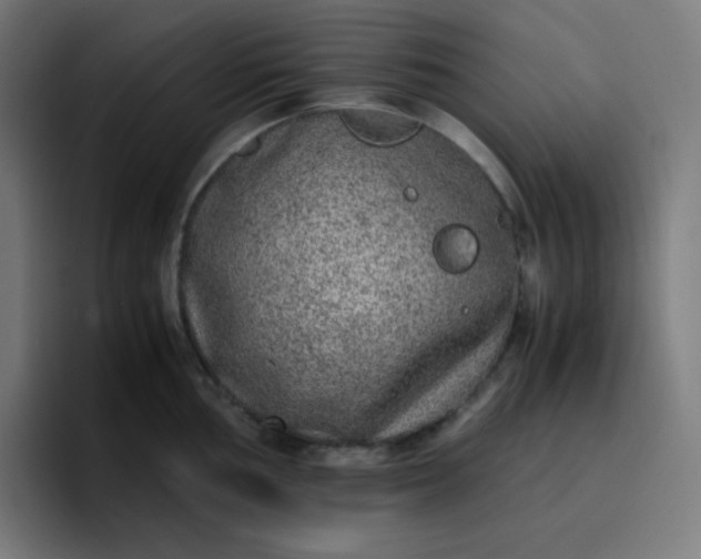 X0000096731002200802191544