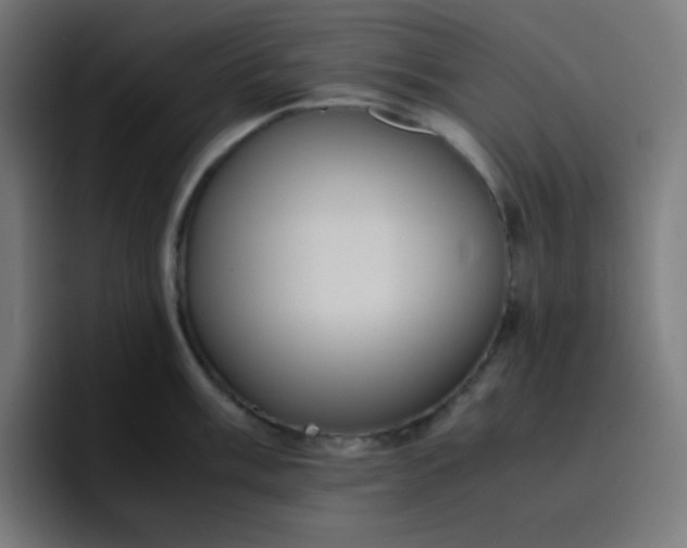 X0000096731003200802191544