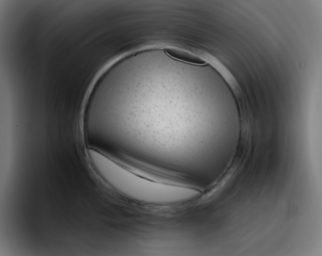 X0000096731004200802191544