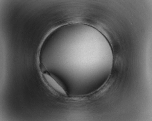 X0000096731005200802191544