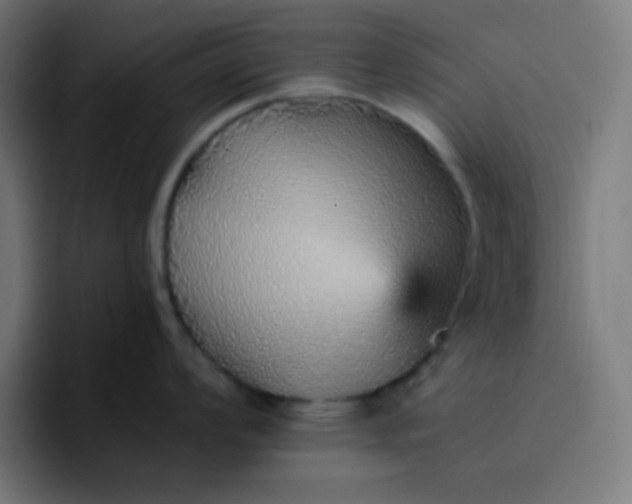 X0000096731008200802191544