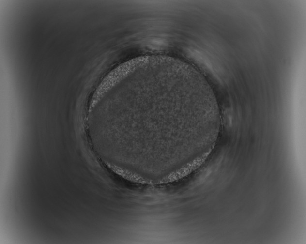 X0000096731009200802191544