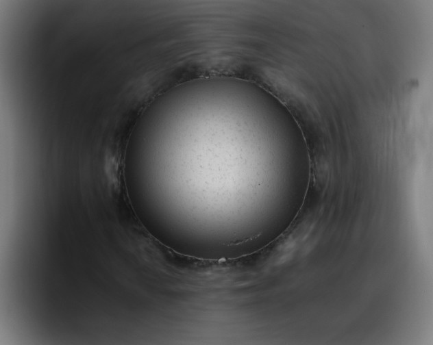 X0000096731010200802191544